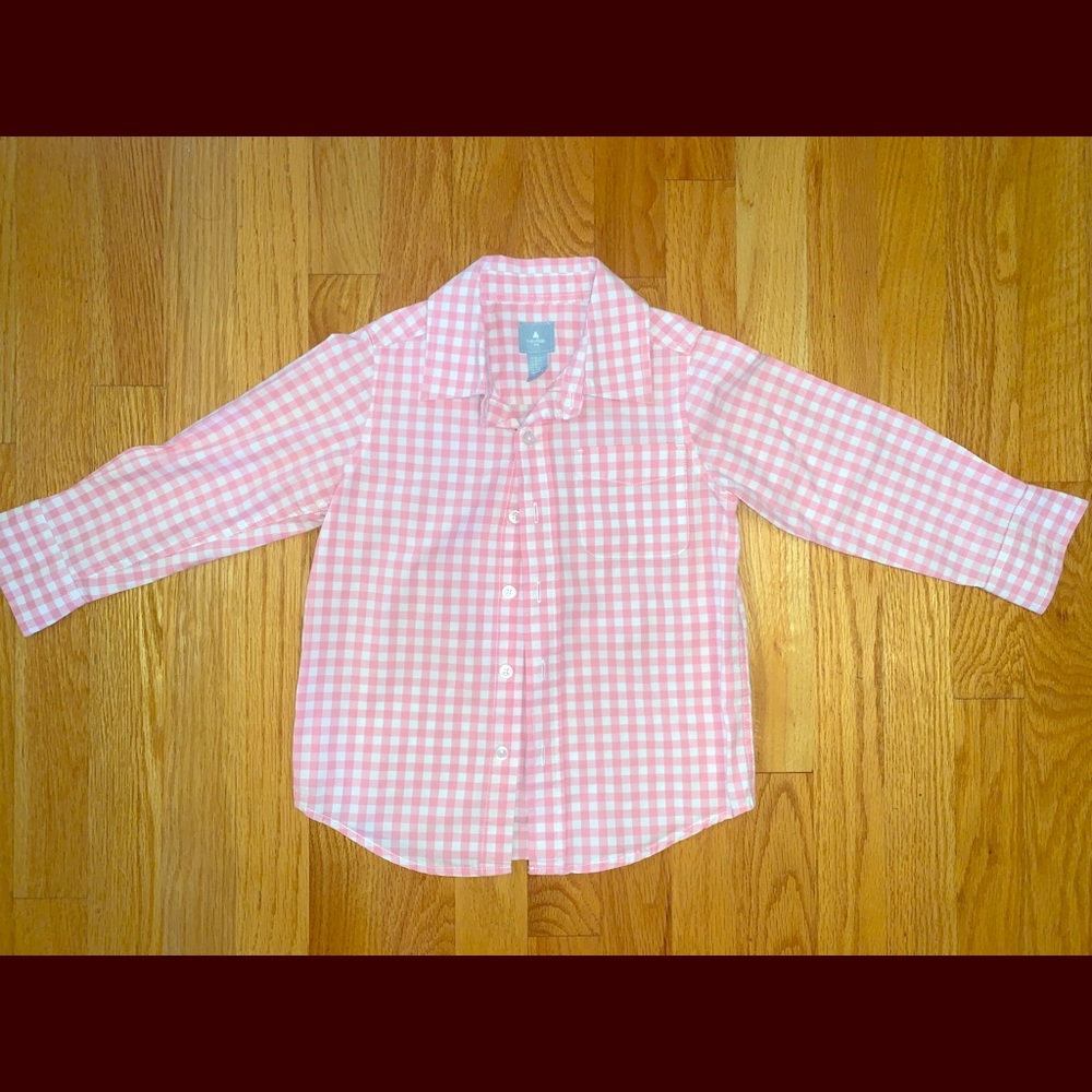 Baby Gap pink gingham button down